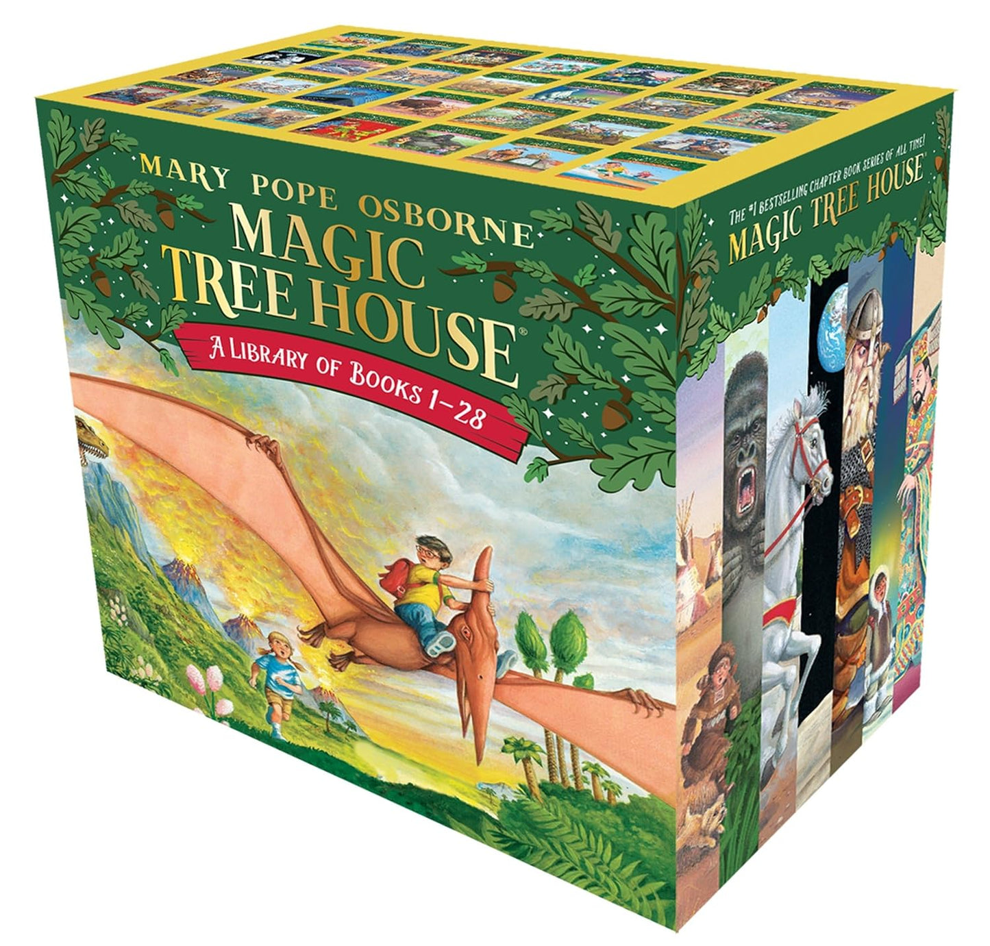 Magic Tree House Series