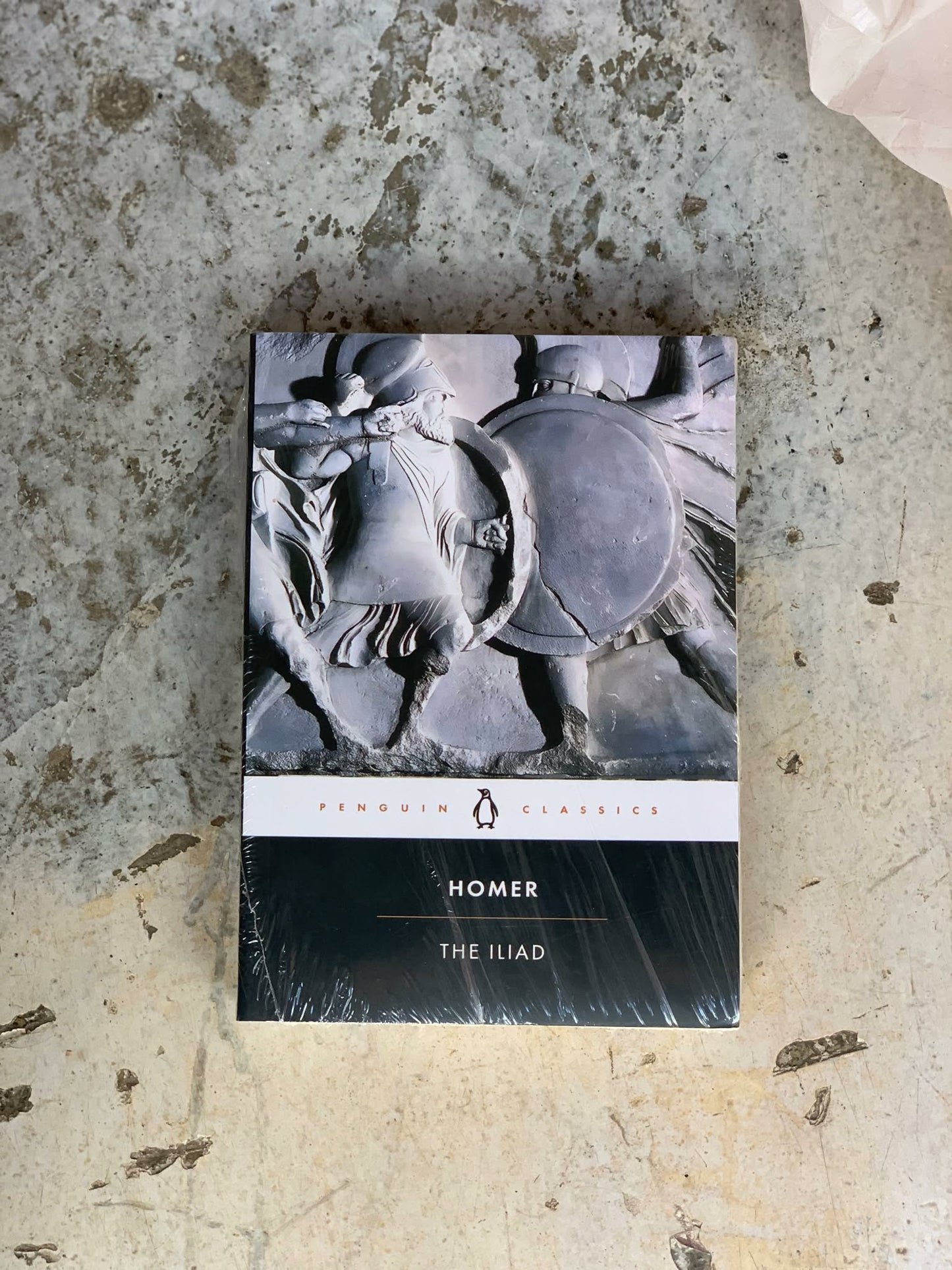 The Iliad