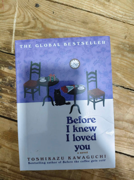 Before I Knew I Loved You